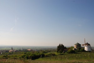 weinviertel-005