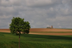 weinviertel-008